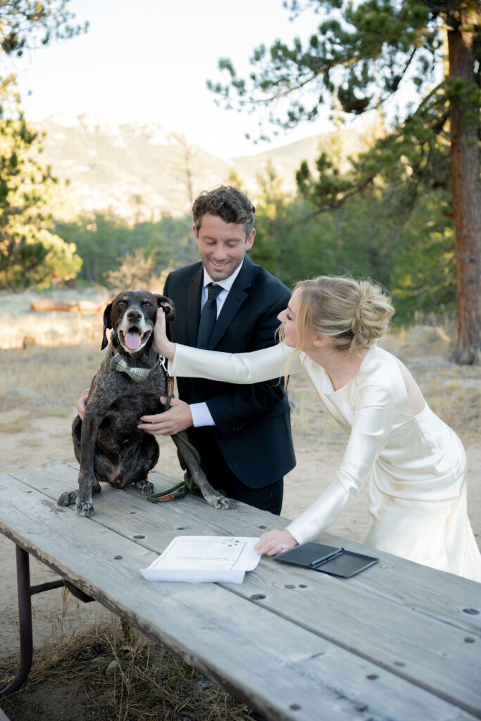 Dog watching every pen stroke